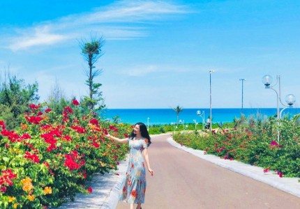 Trải nghiệm con đường hoa ven biển ở Nhơn Lý dịp tết