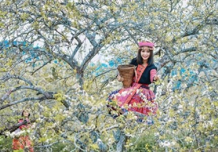Đi du lịch Sapa mùa nào đẹp