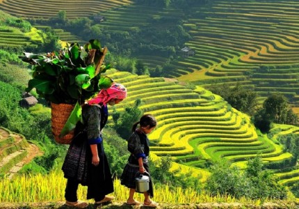 Du lịch Sapa 2-9 có gì