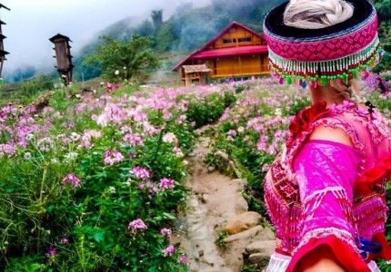 Du lịch Sapa Tết có gì