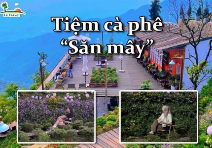 Du lịch Tam Đảo - Ghé thăm tiệm cà phê săn mây