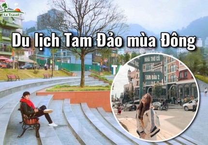 Du lịch Tam Đảo vào mùa Đông có gì?