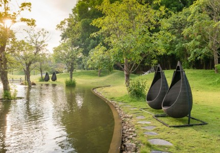 Khám phá Flamingo Đại Lãi
