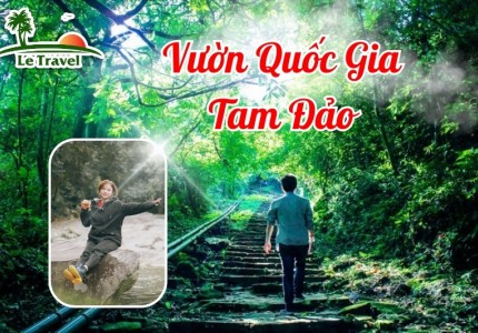 Những trải nghiệm đặc biệt khi đến Vườn Quốc Gia Tam Đảo