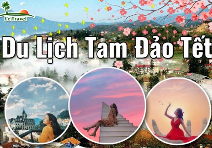 Tham quan và du lịch Tam Đảo dịp Tết