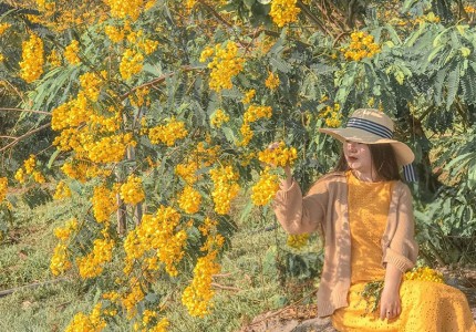 Du lịch Tây Nguyên mùa nào đẹp