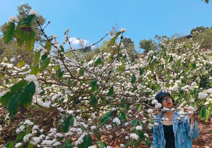 Du lịch Tây Nguyên tháng 3 có gì đẹp