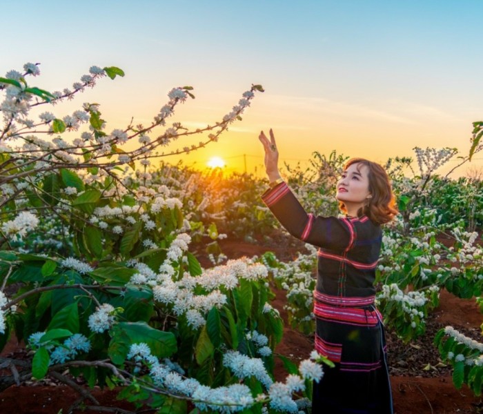 Tour Du Lịch Tây Nguyên 5 Ngày 4 Đêm Mùa Hoa Cà Phê