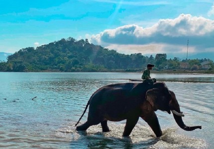 Hồ Lắk Tây Nguyên