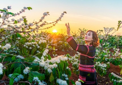 Trải nghiệm mùa hoa đẹp nhất Tây Nguyên