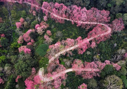 Du xuân Chiang Mai - Chiang Rai