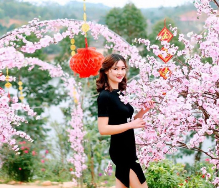 Trải nghiệm Du Lịch Tam Đảo 1 Ngày
