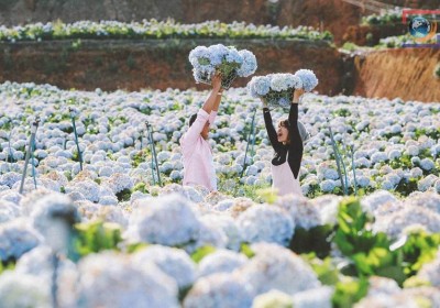 Tour Du Lịch Hà Nội - Đà Lạt 4 Ngày 3 Đêm