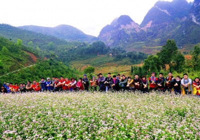 Du Lịch Hà Giang Mùa Hoa Tam Giác Mạch 3 Ngày 2 Đêm