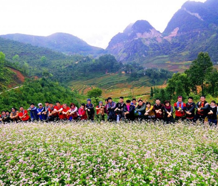 Du Lịch Hà Giang Mùa Hoa Tam Giác Mạch 3 Ngày 2 Đêm