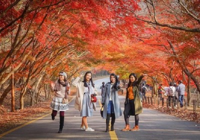 Tour Du Lịch Hàn Quốc: Seoul- Đảo Nami - Everland - Tháp Namsan 5 Ngày 4 Đêm