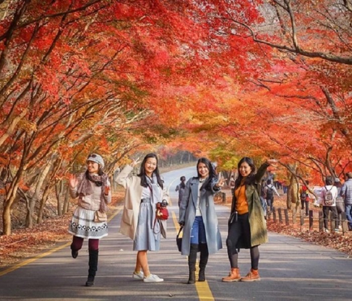 Tour Du Lịch Hàn Quốc: Seoul- Đảo Nami - Everland - Tháp Namsan 5 Ngày 4 Đêm
