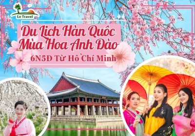 Du Lich Hàn Quốc 6 ngày 5 Đêm Từ Hồ CHí Minh Mùa Hoa Anh Đào (Bay Vietnam Airline)