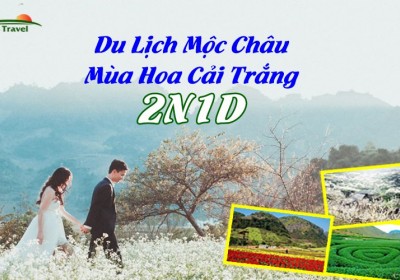 Du Lịch Mộc Châu Mùa Hoa Cải Trắng 2 Ngày 1 Đêm