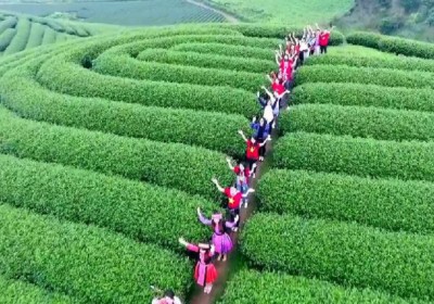 Tour Du Lịch Sơn La- Điện Biên - Mộc Châu 3 Ngày 2 Đêm