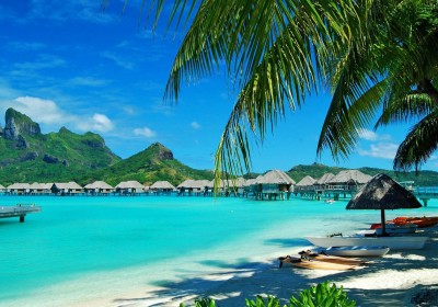 Tour Hà Nội - Nha Trang - Đà Lạt 5 ngày 4 đêm 2025