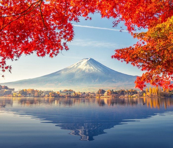 Tour Du Lịch Nhật Bản Cung Đường Vàng: Osaka – Kobe – Kyoto – Fuji –  Tokyo Bay Vietnam Airlines 6 Ngày 5 Đêm