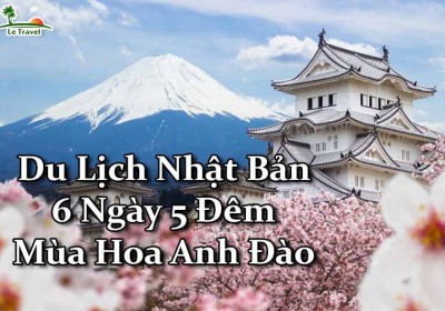 Du Lịch Nhật Bản 6 Ngày 5 Đêm Mùa Hoa Anh Đào (Bay Vietnamairlines, Shinkansen)