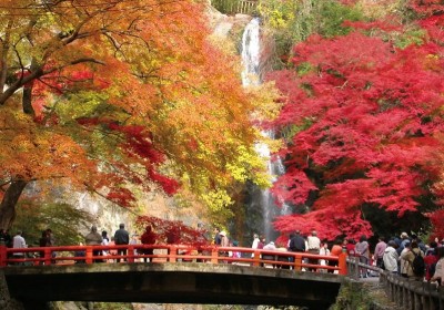 Tour Du Lịch Nhật Bản : Tokyo - Phú Sĩ 5 Ngày 4 Đêm