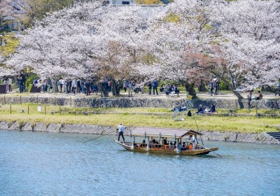 Tour Du Lịch Nhật Bản 6 Ngày 5 Đêm Mùa Hoa Anh Đào Từ Hồ Chí Minh