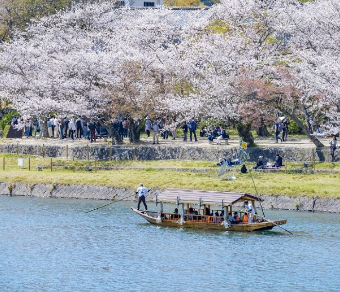 Tour Du Lịch Nhật Bản 6 Ngày 5 Đêm Mùa Hoa Anh Đào Từ Hồ Chí Minh