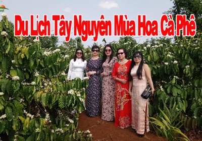 Du Lịch Tây Nguyên 4 Ngày 3 Đêm Mùa Hoa Cà Phê