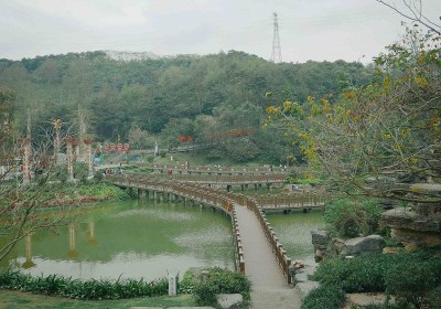 Tour Sapa Hà Khẩu 1 Ngày