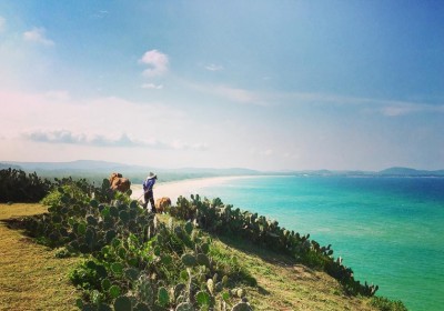 Tour Du Lịch Quy Nhơn - Phú Yên 3 Ngày 3 Đêm