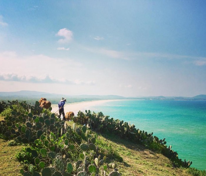 Tour Du Lịch Quy Nhơn - Phú Yên 3 Ngày 3 Đêm