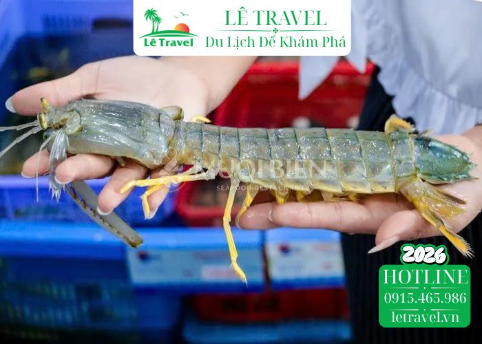 Cách chọn tôm biển và tôm tít (bề bề)