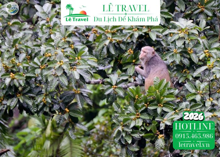 Đồng hành cùng Lê Travel khám phá đại ngàn Quảng Bình