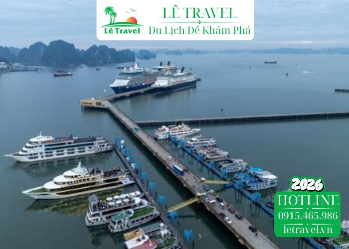 Lê Travel - Chuyên gia đồng hành cùng trải nghiệm của bạn