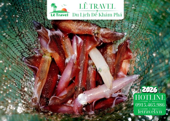 Vì sao mực Nhật Lệ lại ngon đến vậy?