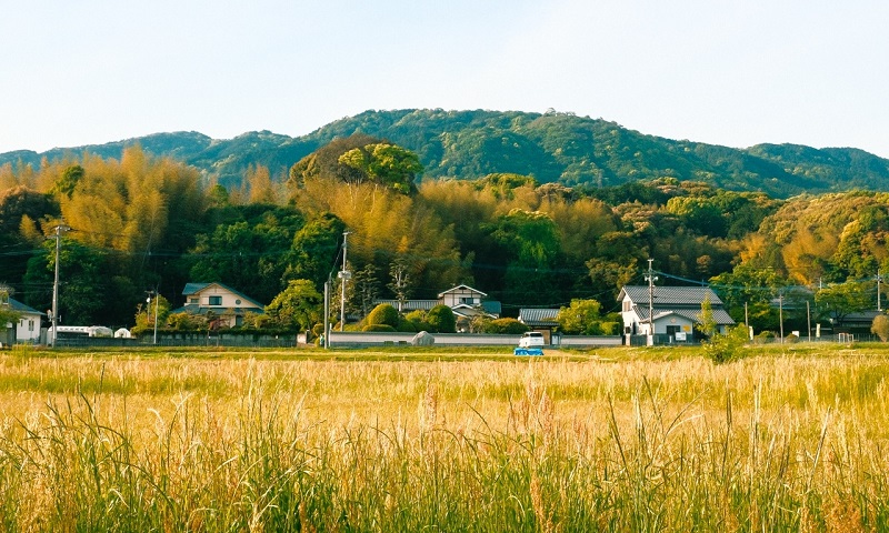 Ngắm cảnh bình yên 