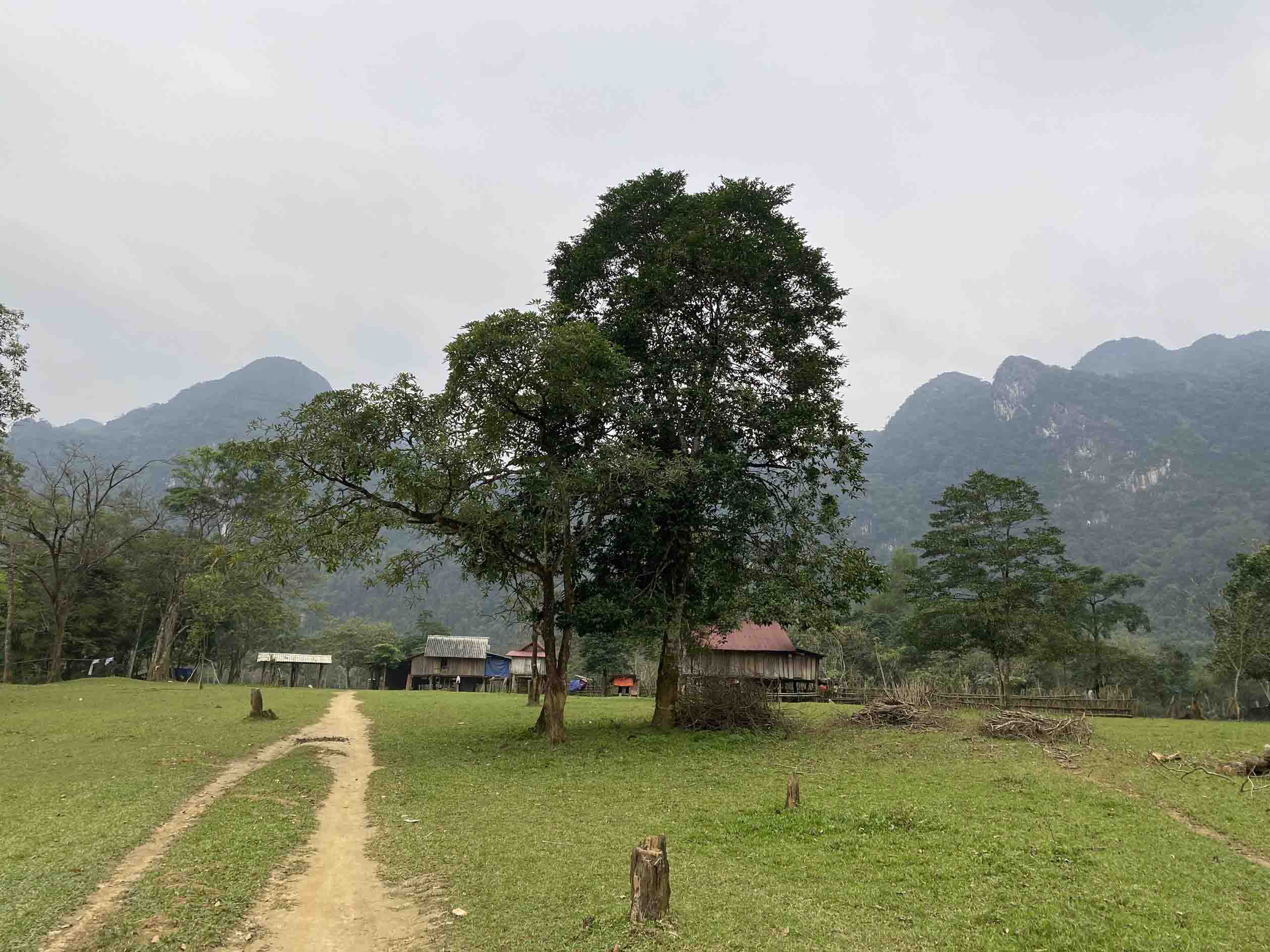 Thời điểm lý tưởng để ghé thăm