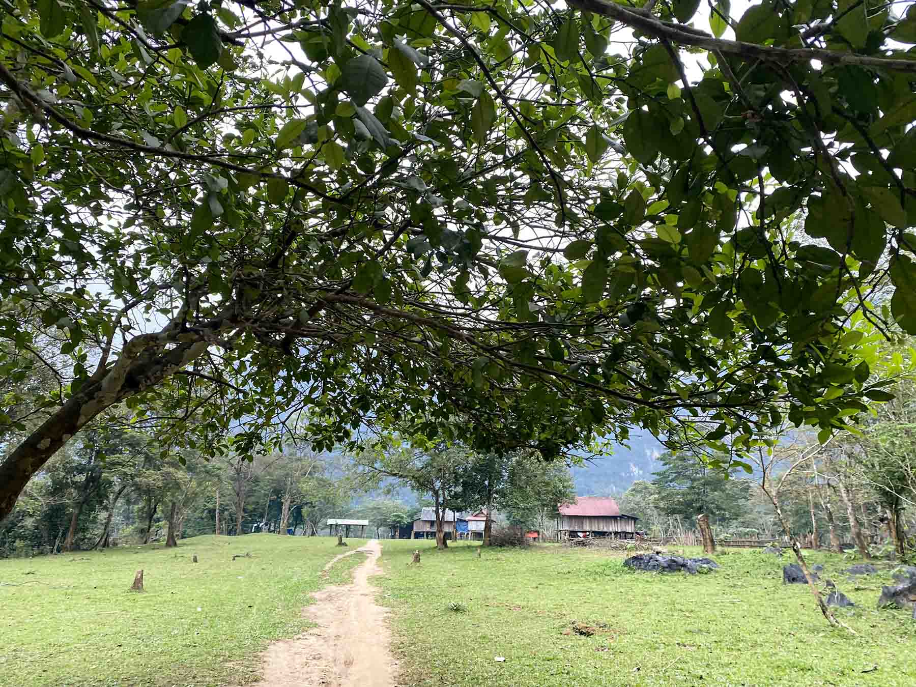 Chi phí dự kiến cho chuyến đi