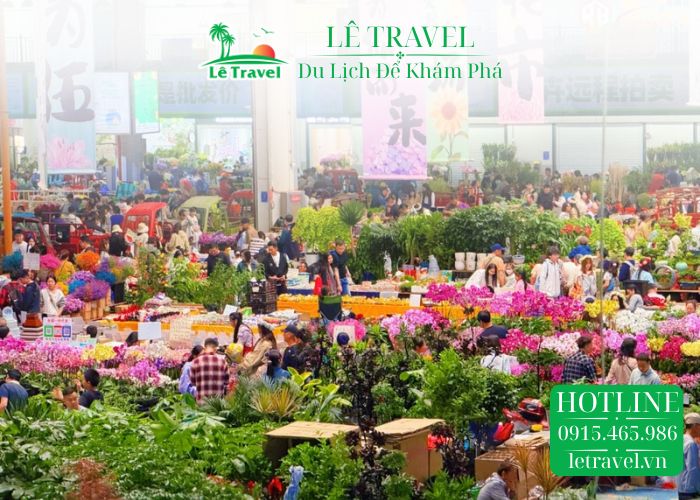 chợ hoa đấu nam với nhiều loại cây trồng