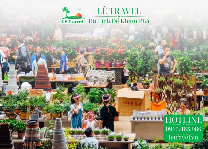 khám phá chợ hoa đấu nam