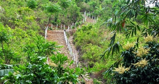 Chinh phục 1200 bậc thang là một thử thách thú vị với khách du lịch