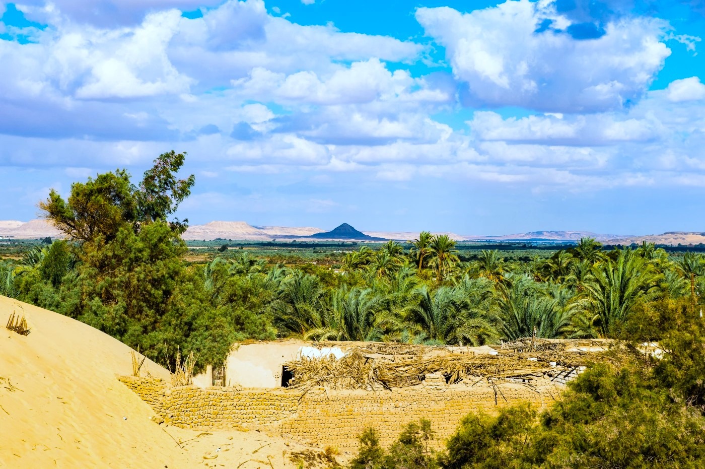 Ốc Đảo Bahariya