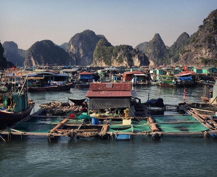 Làng chài Cái Bèo - Cát Bà