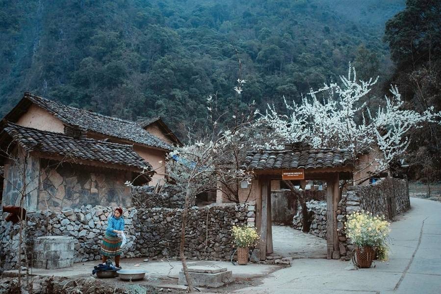 Bản Sùng Lả điểm đến hấp dẫn tại Hà Giang