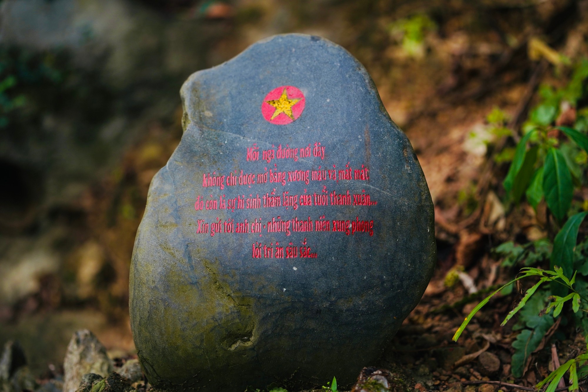 Câu chuyện cảm động về Hang Tám Cô