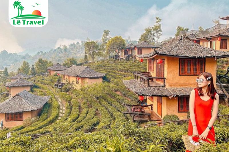 Hít hà không khí sớm mai tại Vườn Trà Long Tỉnh
